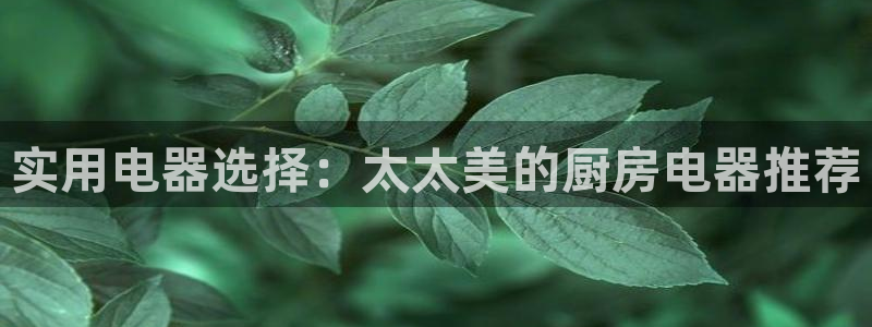 cq9电子雪之吻