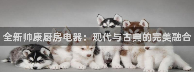cq9电子爆分视频