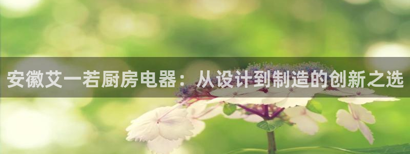 cq9电子游戏寻龙诀