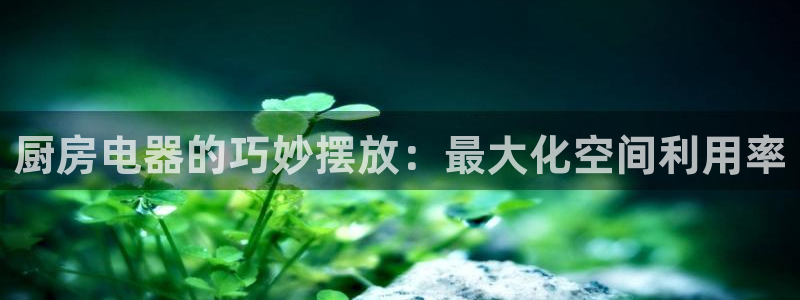 cq9电子森林舞会