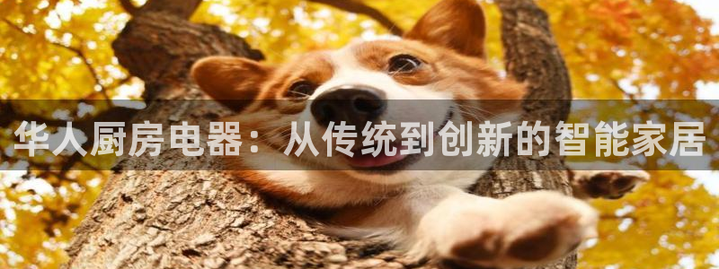 cq9电子舞满分大奖