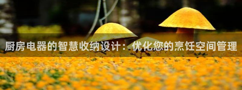 cq9电子假