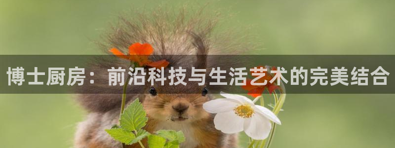 电子cq9旺旺公主