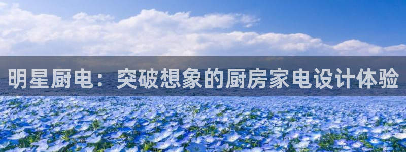 cq9电子 接口