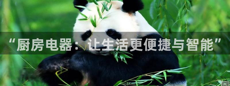 CQ9电子怎么玩