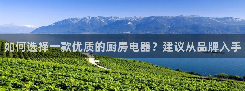 有cq9的电子棋牌