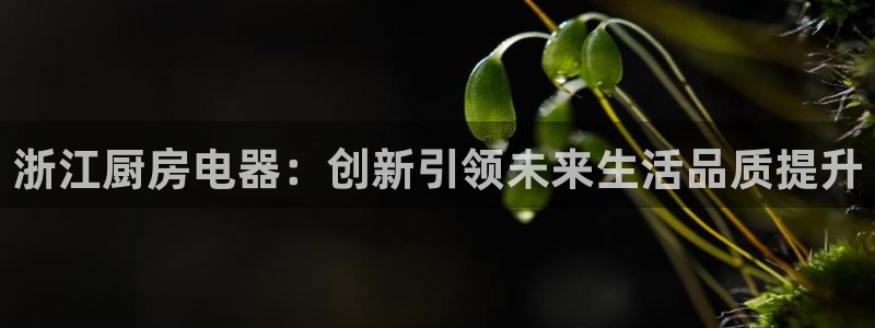 线上cq9电子平台