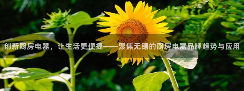cq9电子在线官网