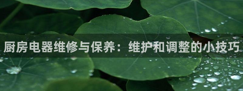 cq9传奇电子女王