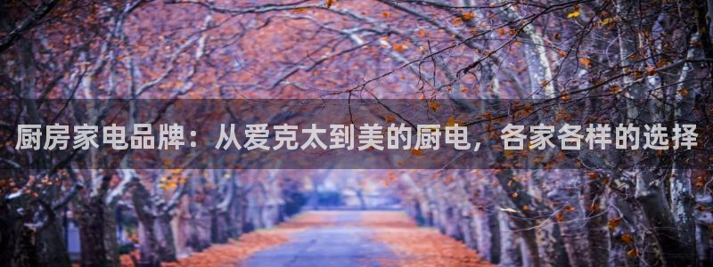cq9电子舞火凤凰