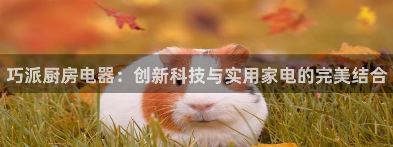 CQ9多旋转电子