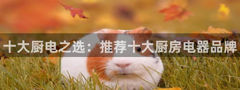 cq9电子舞力全开