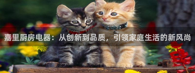cq9电子有多坑