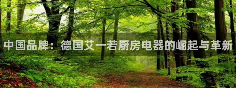 cq9阿波罗电子