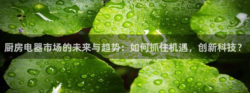 cq9电子漏洞源码