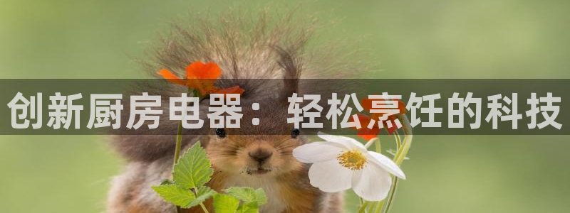 cq9电子余额