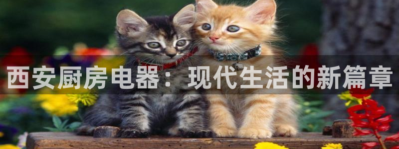建设cq9电子游戏