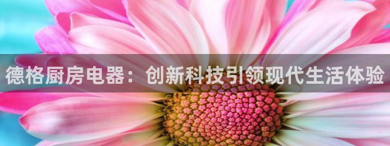 cq9电子冰之女王