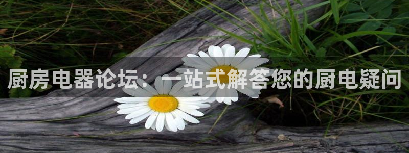 cq9爆分电子