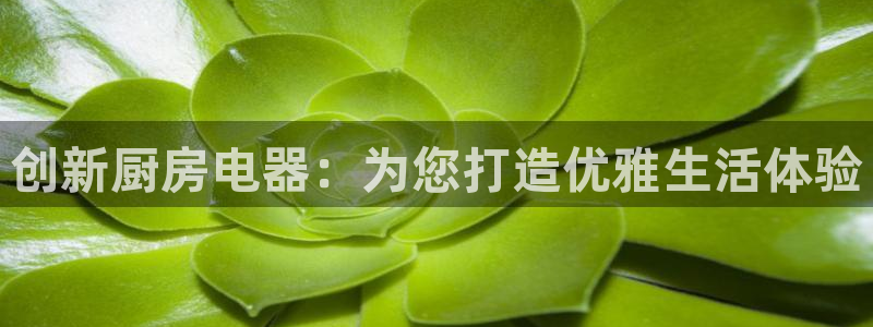 cq9电子游艺攻略