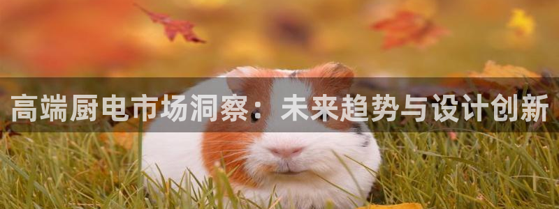 cq9电子谁开发的