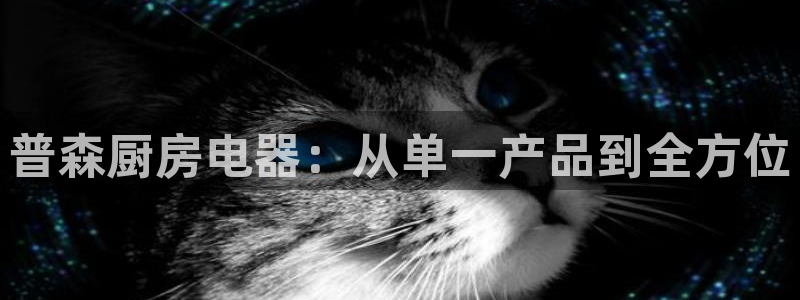 cq9电子官方网址