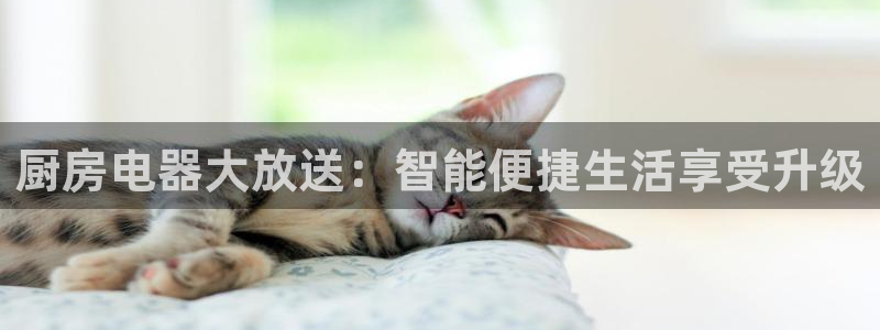 武圣电子cq9