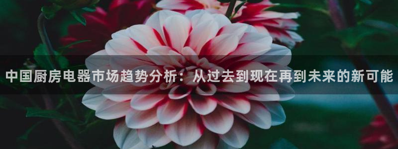 cq9电子夺宝