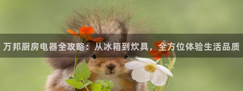 电子cq9规则