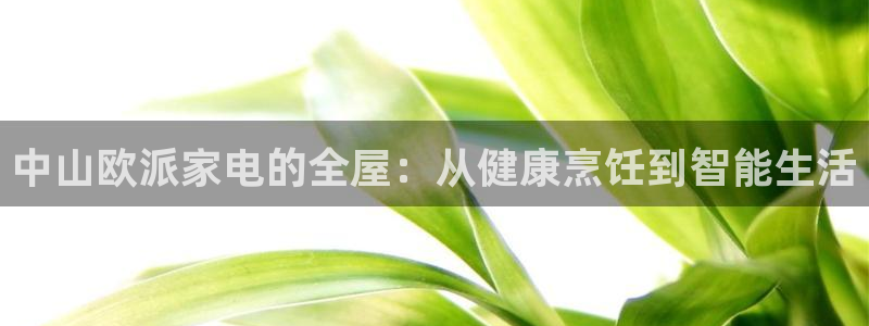 cq9阿波罗电子