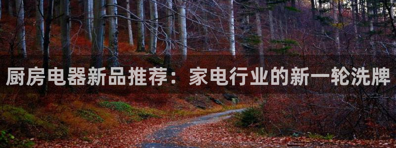 开设情况cq9电子智能