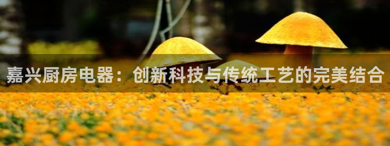 cq9电子宝石女王