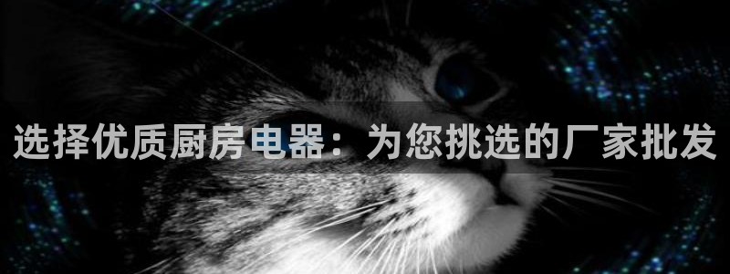 cq9电子下载链接