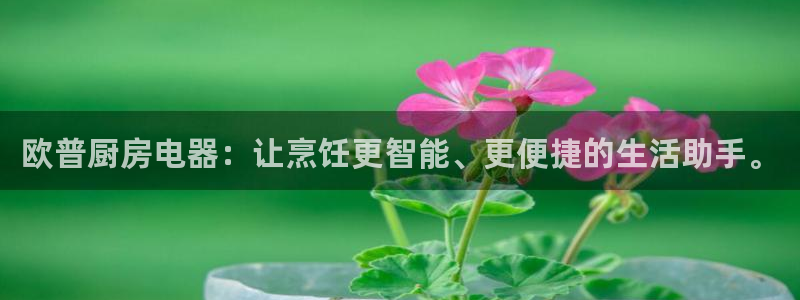 cq9电子大猩猩