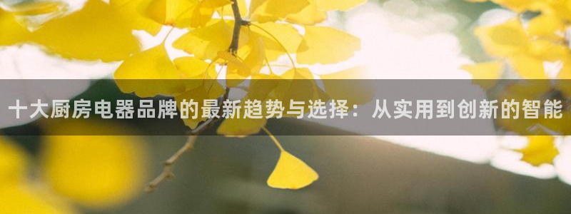 CQ9电子飞起来