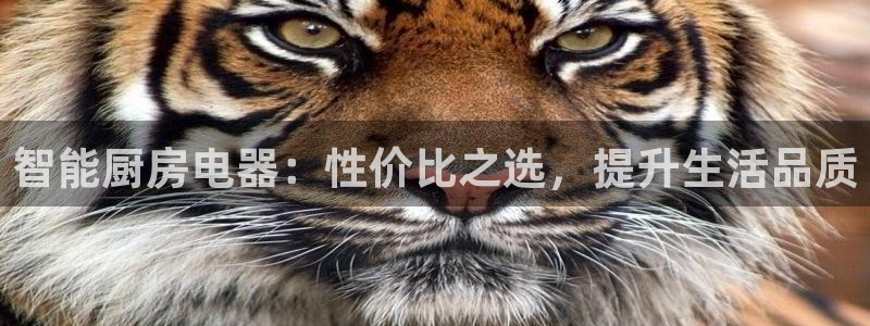 cq9电子游艺攻略