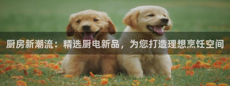 cq9电子大奖火凤凰