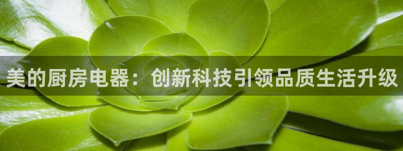cq9电子冰雪女王视频
