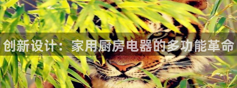 传奇电子女神cq9