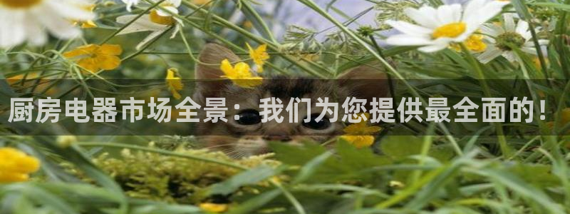 cq9电子平台捕鱼