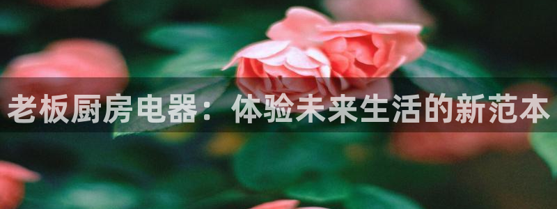 cq9电子版