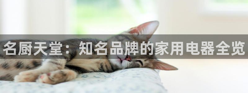 CQ9电子输了很多