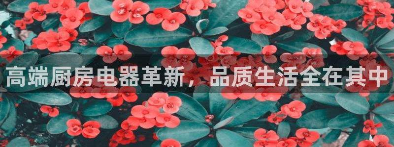 CQ9电子游戏爆奖视频