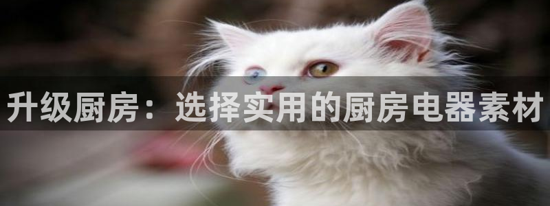 cq9电子金鸡报晓