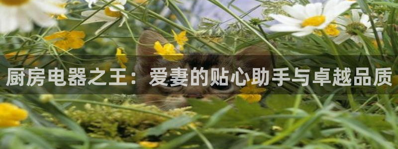 cq9电子夺宝试玩