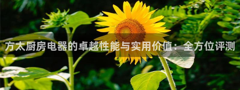 传奇电子cq9浴火重生