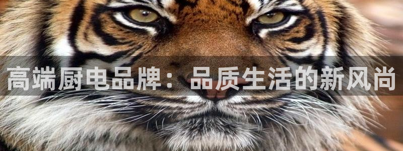 cq9传奇电子维护后