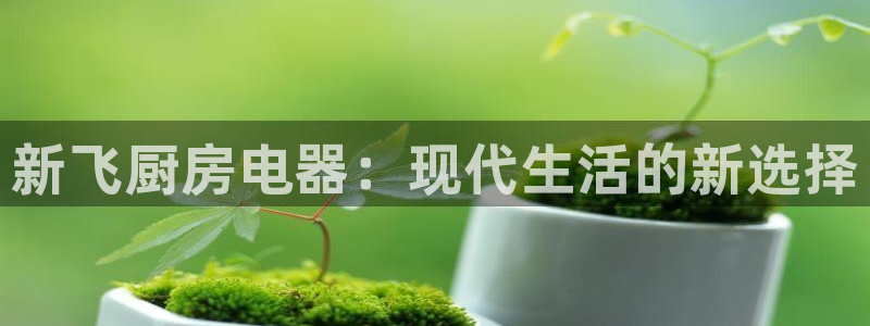 cq9电子在哪玩免费