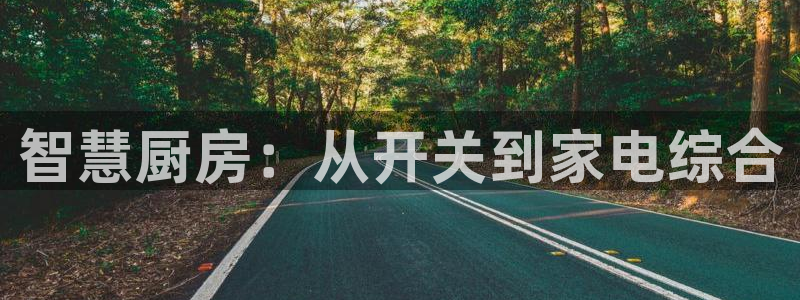 cq9电子森林舞会