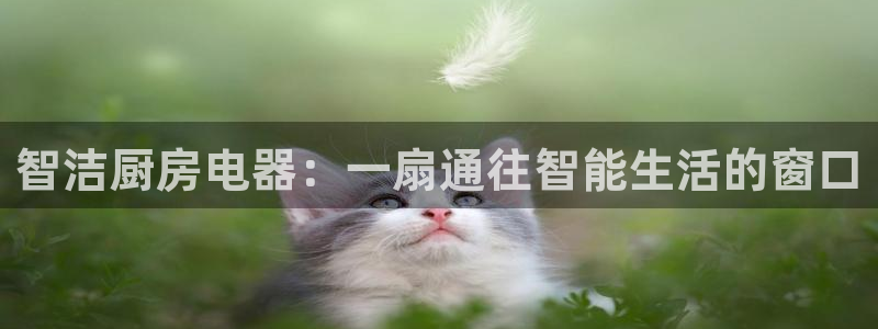 cq9电子官方入口